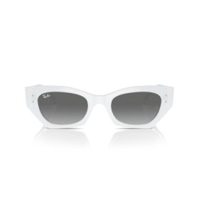 RAY-BAN ZENA 0RB4430 675911 52 Napszemüveg