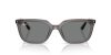 RAY-BAN  0RB4439D 667587 54 Napszemüveg