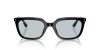 RAY-BAN  0RB4439D 901/72 54 Napszemüveg