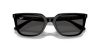 RAY-BAN  0RB4439D 901/87 54 Napszemüveg