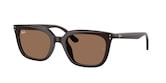 RAY-BAN  0RB4439D 901/9A 54 Napszemüveg