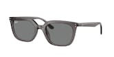 RAY-BAN  0RB4439D 901/9A 54 Napszemüveg