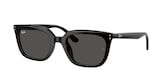 RAY-BAN  0RB4439D 901/9A 54 Napszemüveg