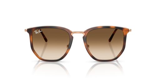 RAY-BAN  0RB4451 680451 53 Napszemüveg
