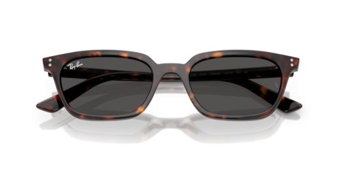 RAY-BAN ZAYA 0RB4456 135987 53 Napszemüveg