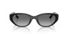 RAY-BAN  0RB4457D 667711 55 Napszemüveg