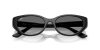RAY-BAN  0RB4457D 667711 55 Napszemüveg
