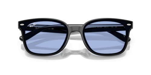 RAY-BAN  0RB4461D 601/80 64 Napszemüveg