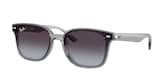 RAY-BAN  0RB4461D 64508G 64 Napszemüveg