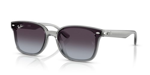 RAY-BAN  0RB4461D 64508G 64 Napszemüveg