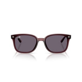 RAY-BAN  0RB4461D 659373 64 Napszemüveg