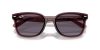 RAY-BAN  0RB4461D 659373 64 Napszemüveg