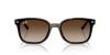 RAY-BAN  0RB4461D 710/13 64 Napszemüveg