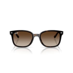 RAY-BAN  0RB4461D 710/13 64 Napszemüveg