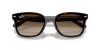 RAY-BAN  0RB4461D 710/13 64 Napszemüveg