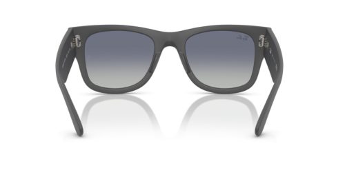 RAY-BAN  0RB4840S 60174L 52 Napszemüveg