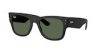 RAY-BAN  0RB4840S 6124T5 52 Napszemüveg