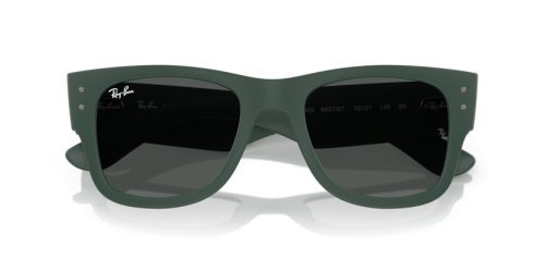 RAY-BAN  0RB4840S 665787 50 Napszemüveg