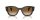 RAY-BAN JORGE 0RB7681S 140251 52 Napszemüveg