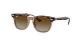 RAY-BAN JUNIOR  0RJ9098S 71554L 45 Napszemüveg