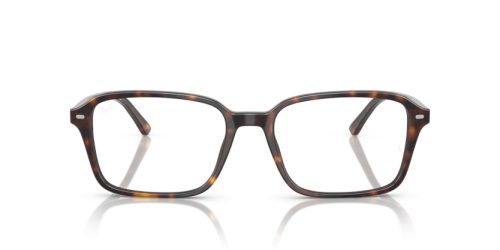 RAY-BAN VISTA RAIMOND 0RX5431 2012 54 Szemüvegkeret