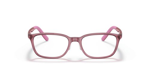 RAY-BAN JUNIOR VISTA  0RY1617D 3777 49 Szemüvegkeret