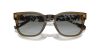 VOGUE  0VO5571S 314411 53 Napszemüveg