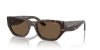 VOGUE  0VO5586S W65673 53 Napszemüveg