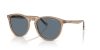 VOGUE  0VO5599S 31894Y 53 Napszemüveg