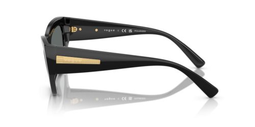 VOGUE  0VO5607S W44/81 53 Napszemüveg